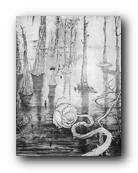 Swamp Rose.jpg